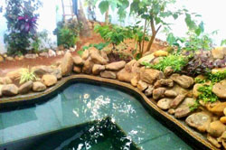 Paradise Studio Splash Pool with Garden